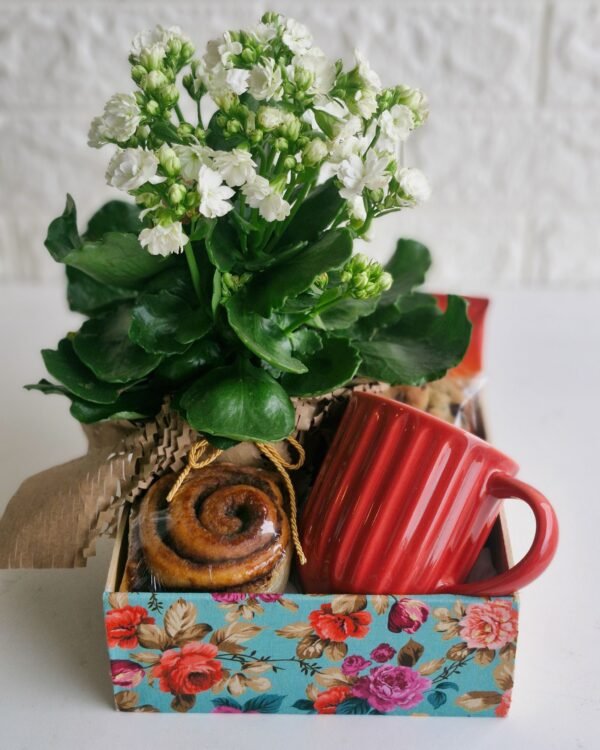Cesta Momento Café 1 Cesta de café da manhã em caixa de MDF com estampa floral em tons de azul, vermelho e rosa. Contém uma caneca de cerâmica vermelha texturizada, flor Kalanchoe branca em embalagem rústica de papel kraft, rolinho de canela e deliciosos biscoitos artesanais ao fundo.